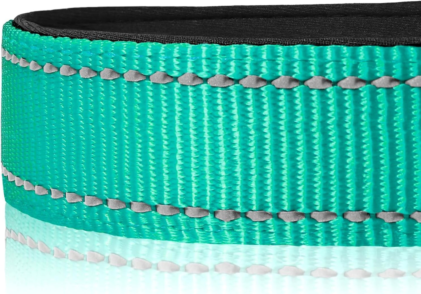 Reflective Dog Collar, Soft Neoprene Padded, Metal D-Ring, Nylon Pet Collar Adjustable for Large Dogs, Teal, L