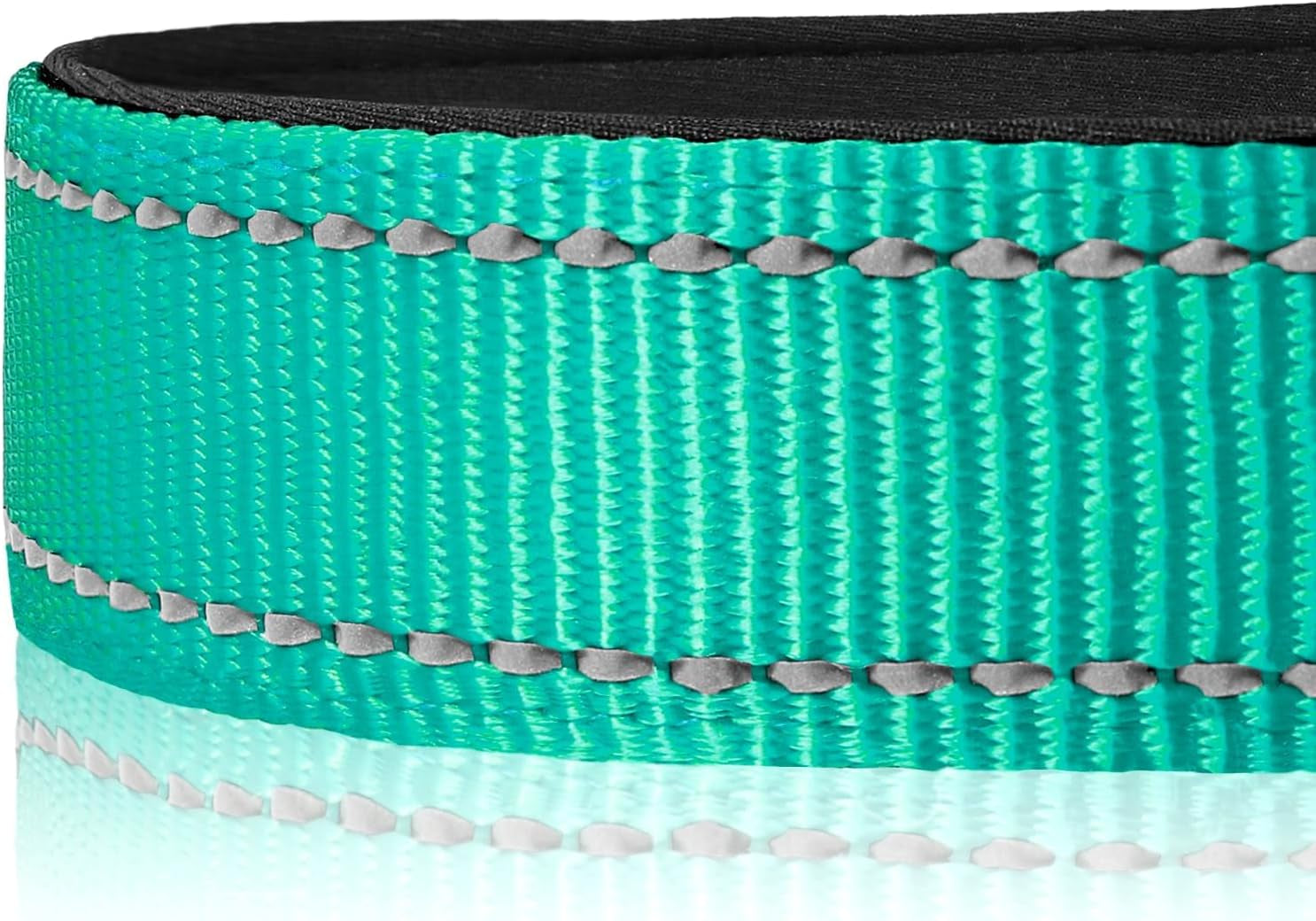 Reflective Dog Collar, Soft Neoprene Padded, Metal D-Ring, Nylon Pet Collar Adjustable for Large Dogs, Teal, L