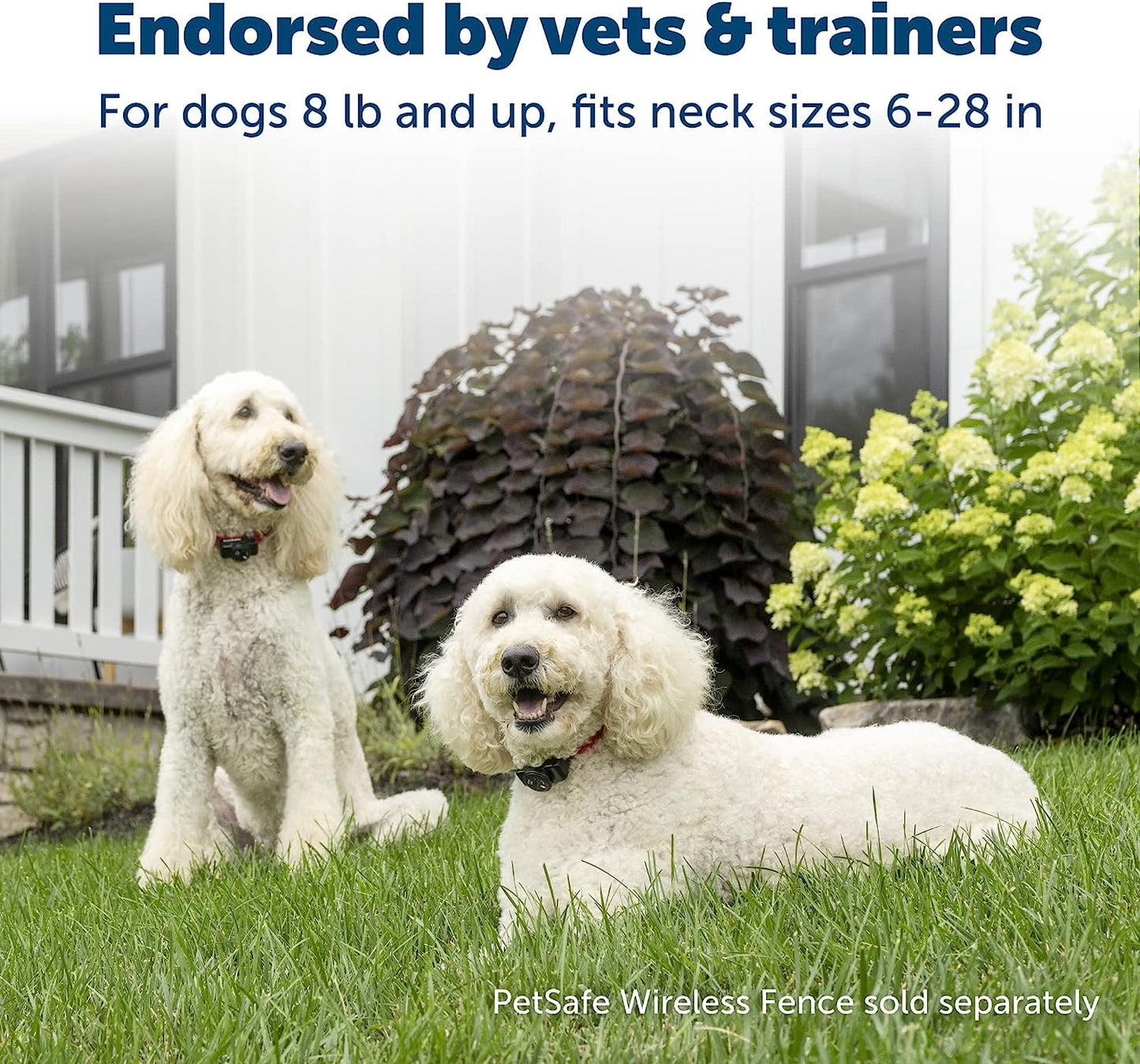 Wireless Pet Containment System Receiver Collar - Battery-Operated & Waterproof - Adjustable Receiver Collar with 5 Correction Levels - for Dogs 5Lb+