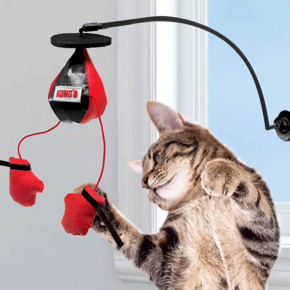 🐱 Cat Punching Bag Toy with Gloves | Mini Boxing Training Toy for Cats | Interactive Pet Play & Exercise
