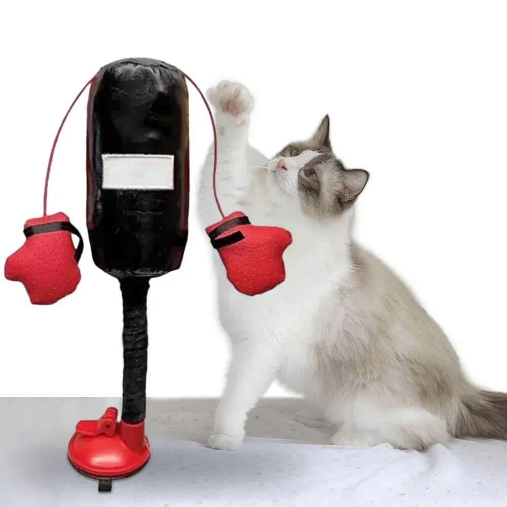 🐱 Cat Punching Bag Toy with Gloves | Mini Boxing Training Toy for Cats | Interactive Pet Play & Exercise