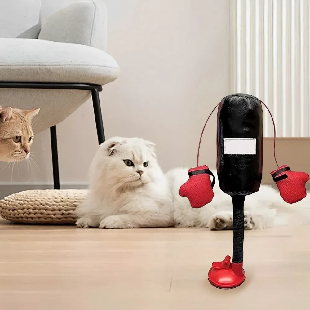 🐱 Cat Punching Bag Toy with Gloves | Mini Boxing Training Toy for Cats | Interactive Pet Play & Exercise